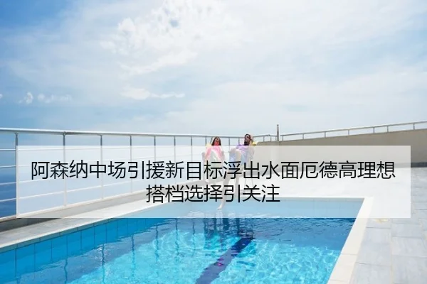 阿森纳中场引援新目标浮出水面厄德高理想搭档选择引关注